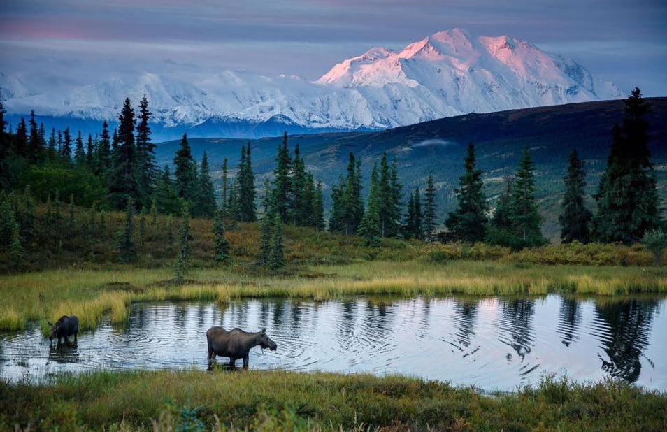 Mountain view in Alaska