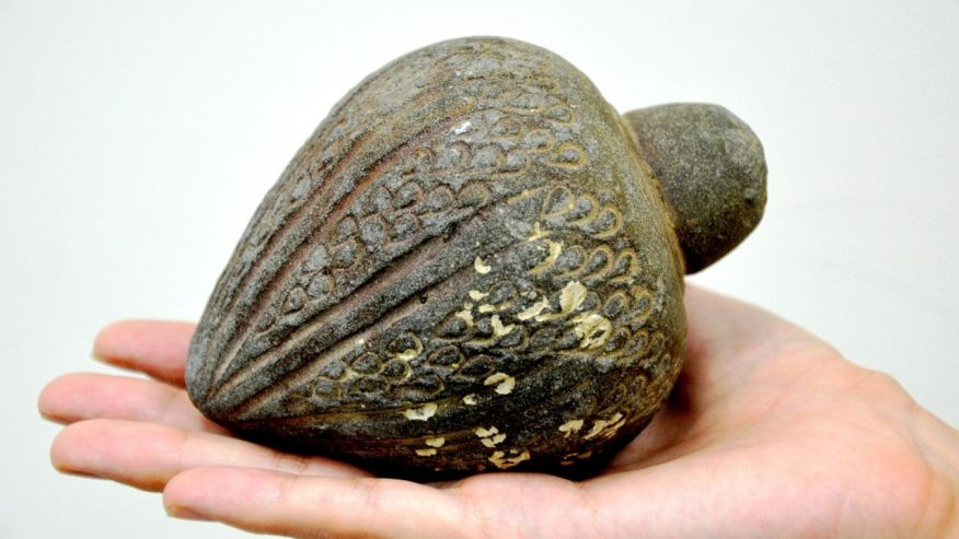 Crusader-era hand grenade found