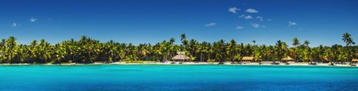 Panoramic view of Exotic Palm trees on the tropical beach - Panoramic view of Exotic Palm trees on the tropical Island beach