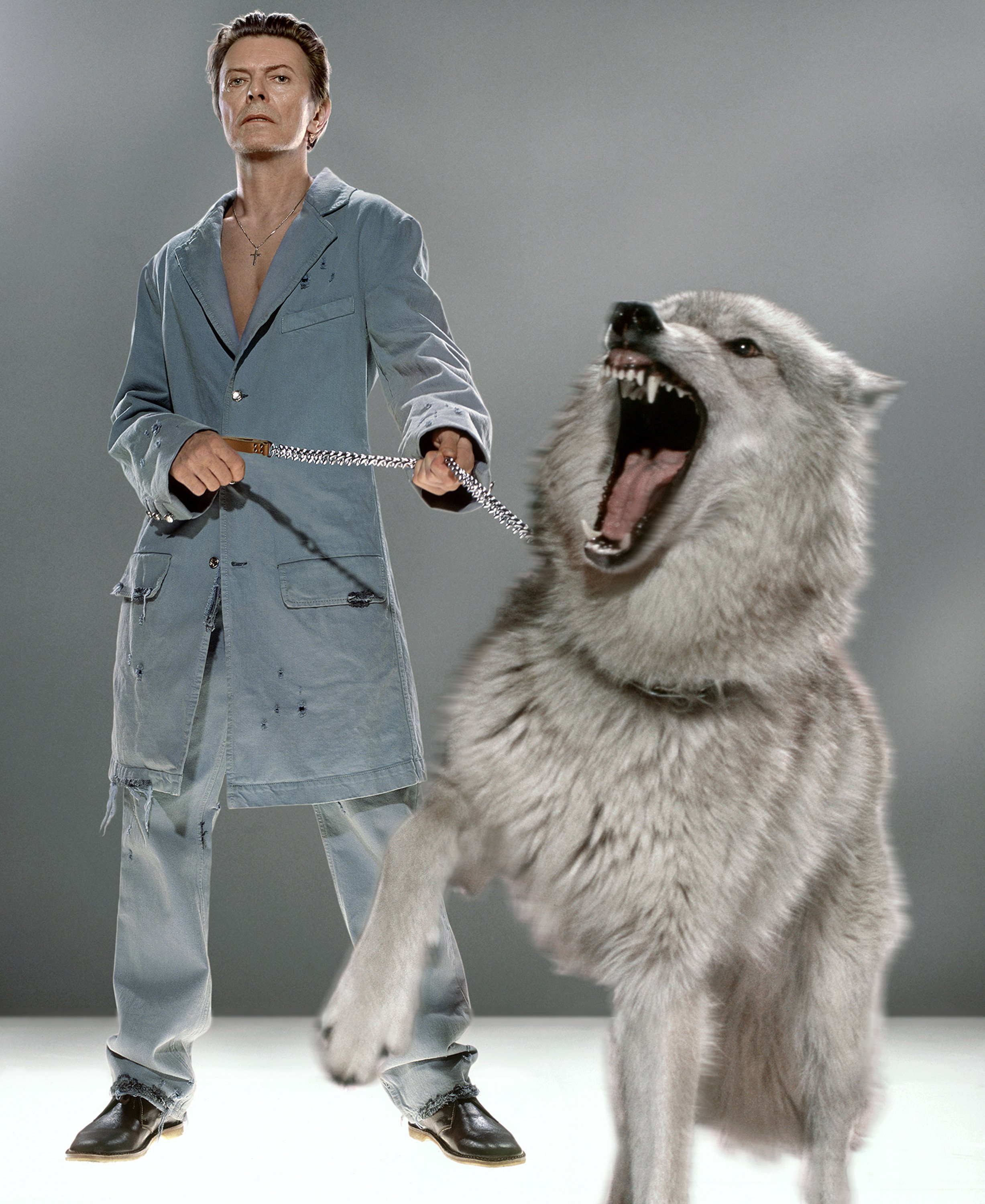 David Bowie with Wolves